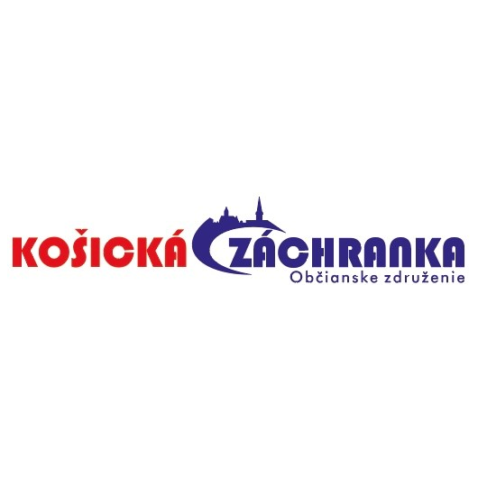 KZ-logo.png